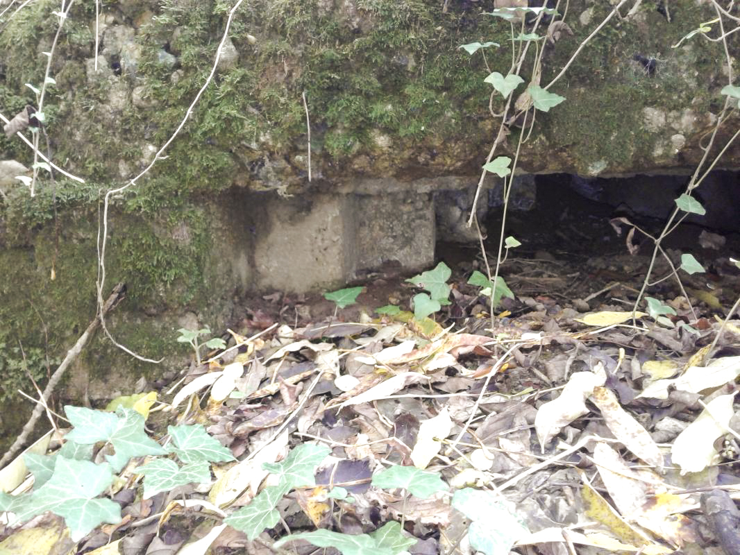 Ligne Maginot - BOIS MAROTTE SUD - (Blockhaus de type indeterminé) - Blockhaus détruit. Vue d'un créneau. - Fabrice THOMASSIN