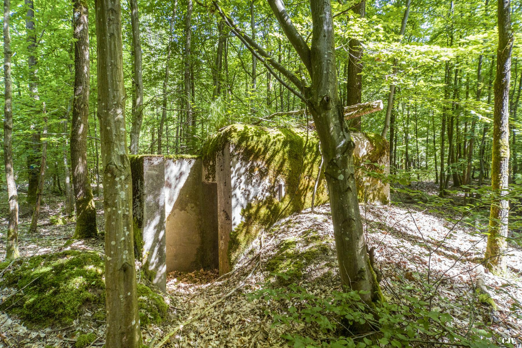Ligne Maginot - SCHEIDWALD 9 - (Blockhaus pour arme infanterie) -                     - Lia VERMEULEN