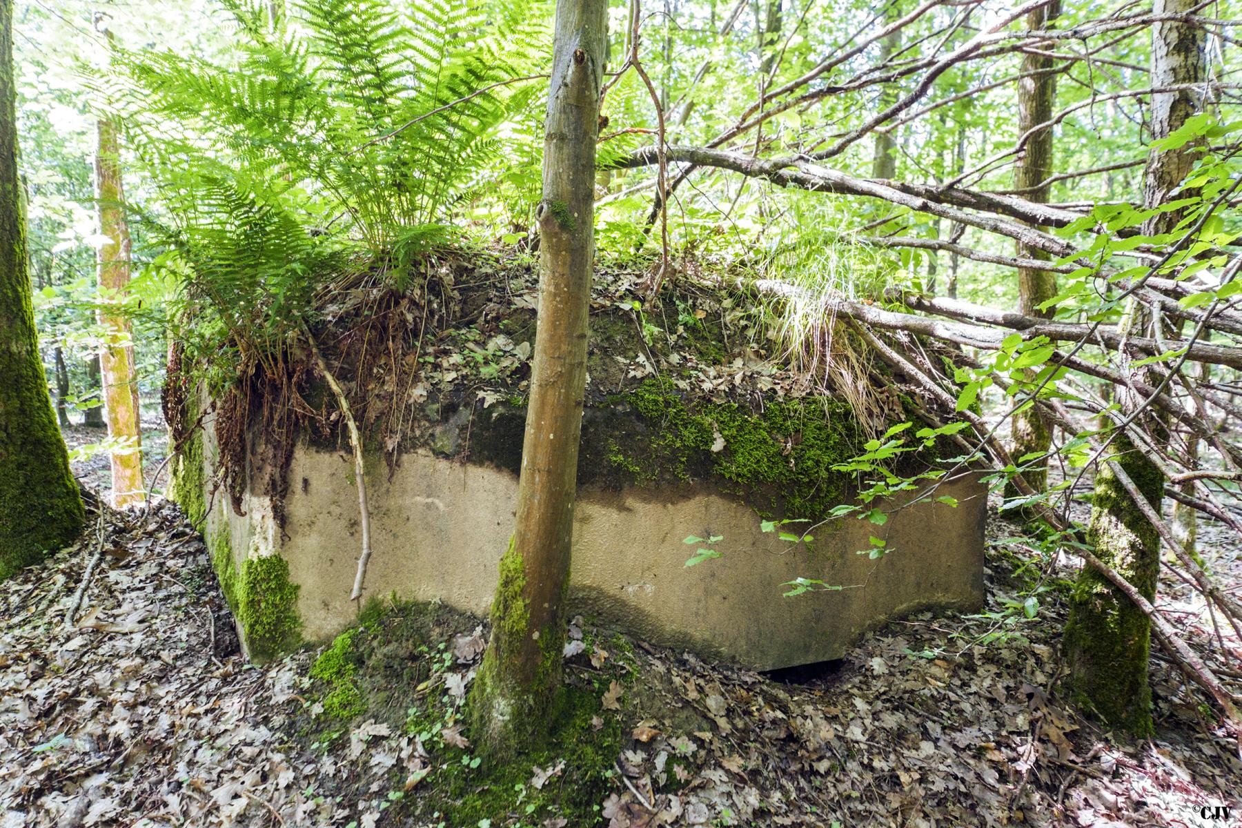Ligne Maginot - SCHEIDWALD 9 - (Blockhaus pour arme infanterie) -                   - Lia VERMEULEN