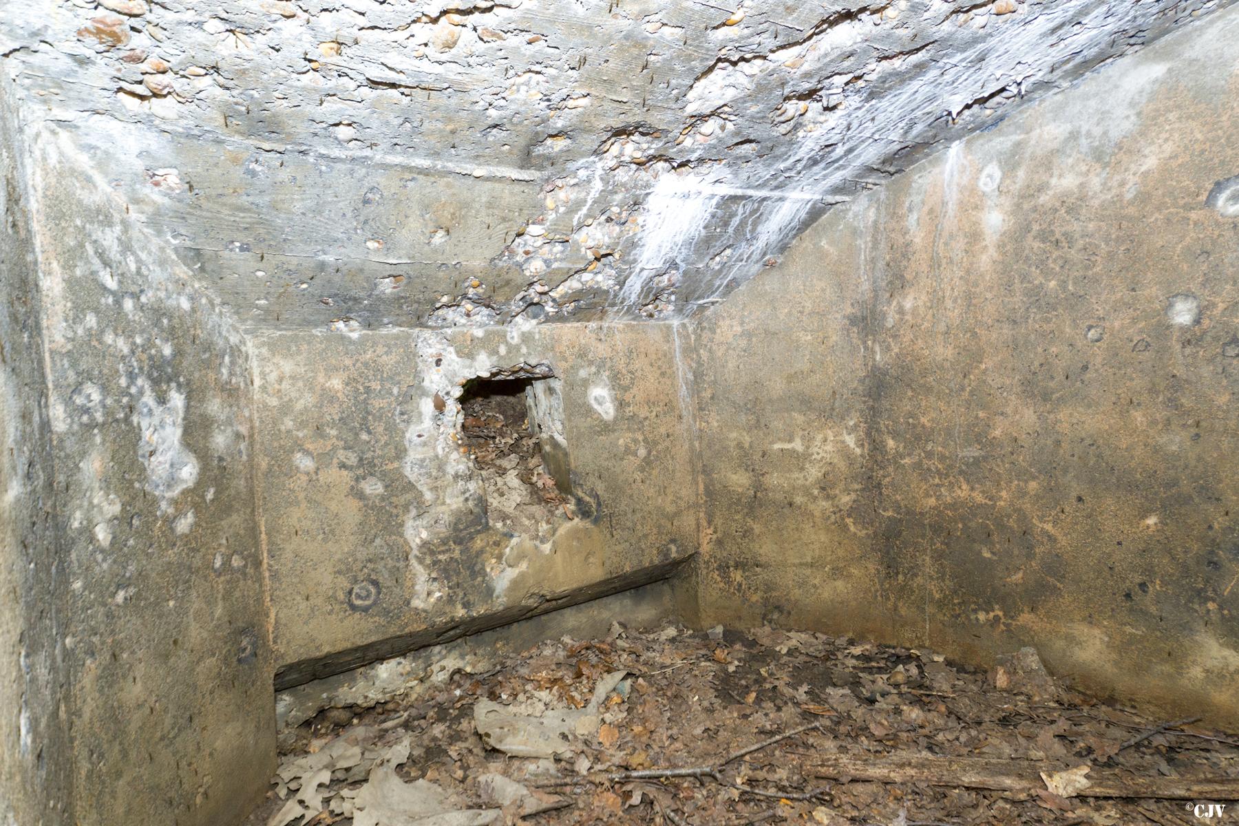 Ligne Maginot - SCHEIDWALD 9 - (Blockhaus pour arme infanterie) -                      - Lia VERMEULEN