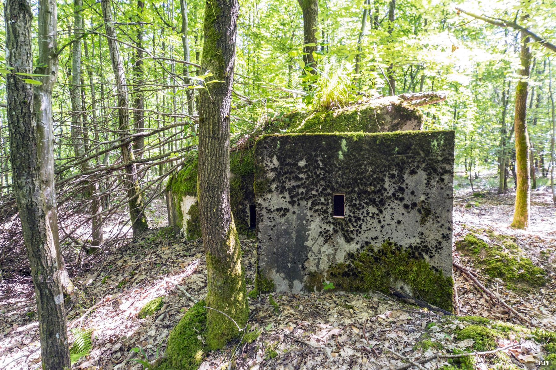 Ligne Maginot - SCHEIDWALD 9 - (Blockhaus pour arme infanterie) -                    - Lia VERMEULEN