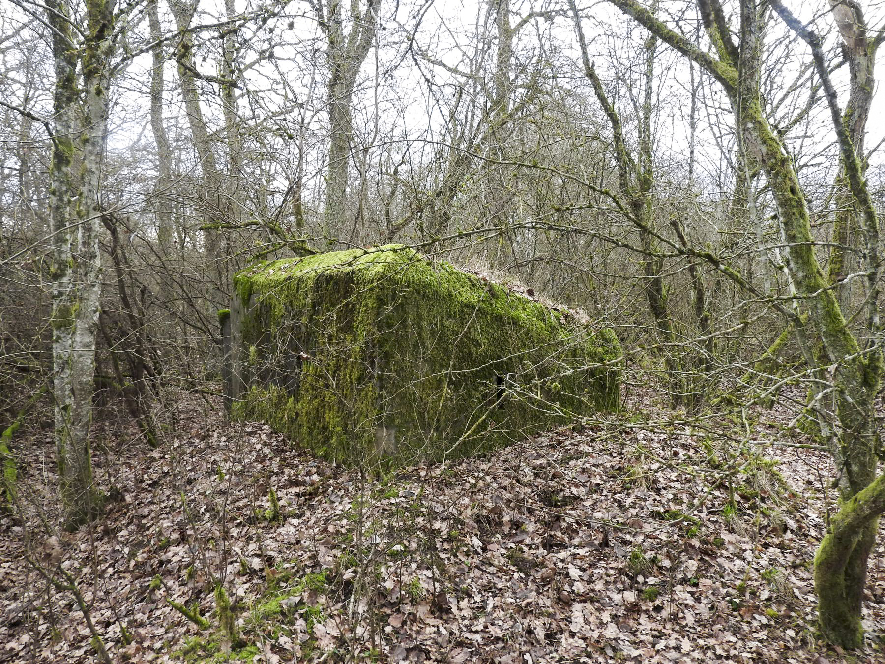 Ligne Maginot - SCHEIDE 4 - (Blockhaus pour arme infanterie) - La façade arrière. - STENGER Mathieu