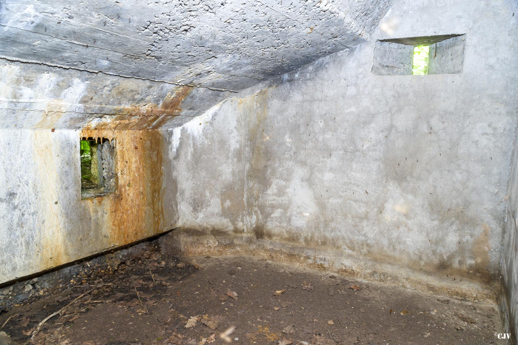 Ligne Maginot - SCHEIDWALD 1 - (Blockhaus pour arme infanterie) -         - Lia VERMEULEN