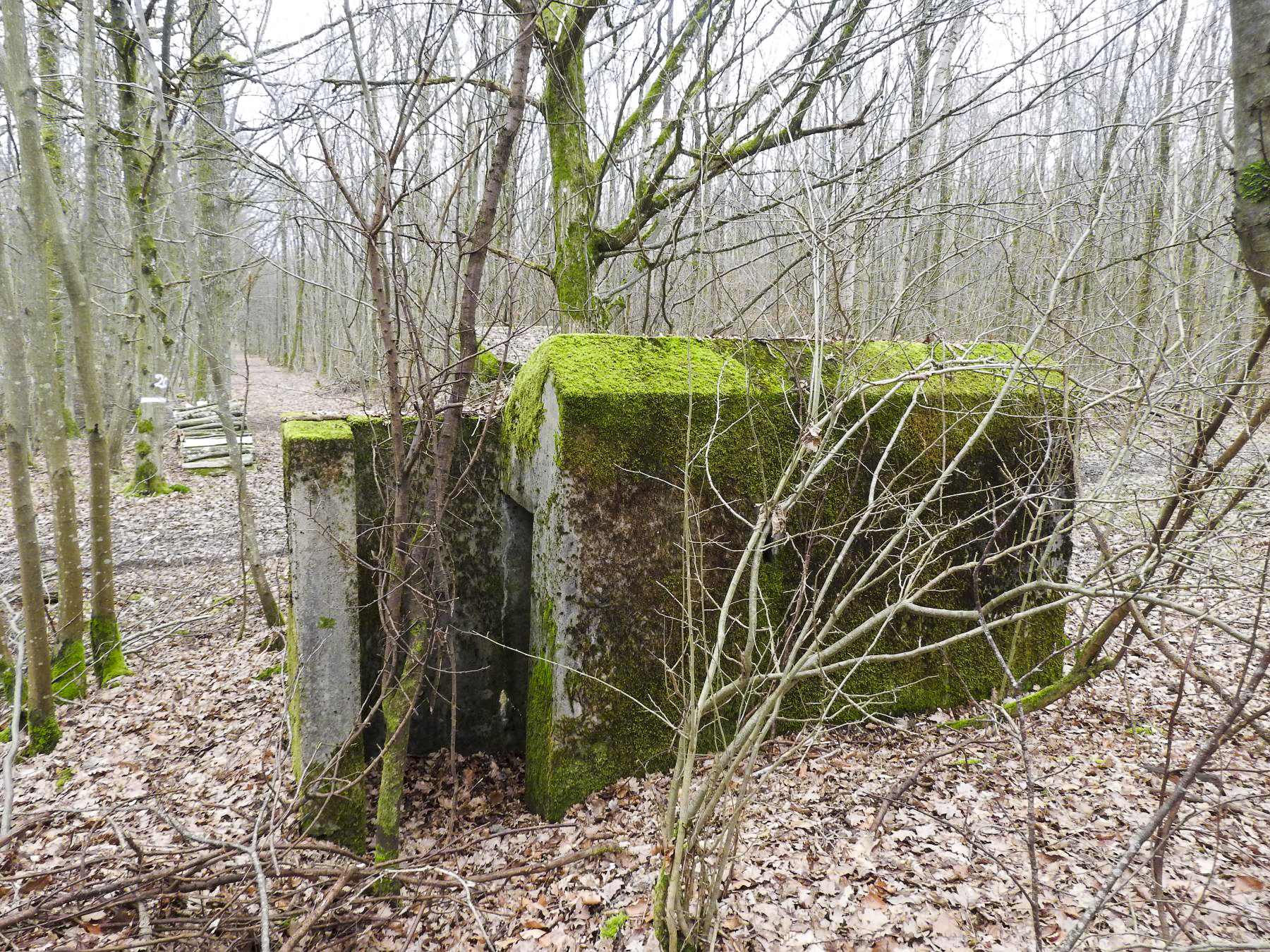 Ligne Maginot - SCHEIDWALD 1 - (Blockhaus pour arme infanterie) - La façade arrière du blockhaus et son entrée. - STENGER Mathieu