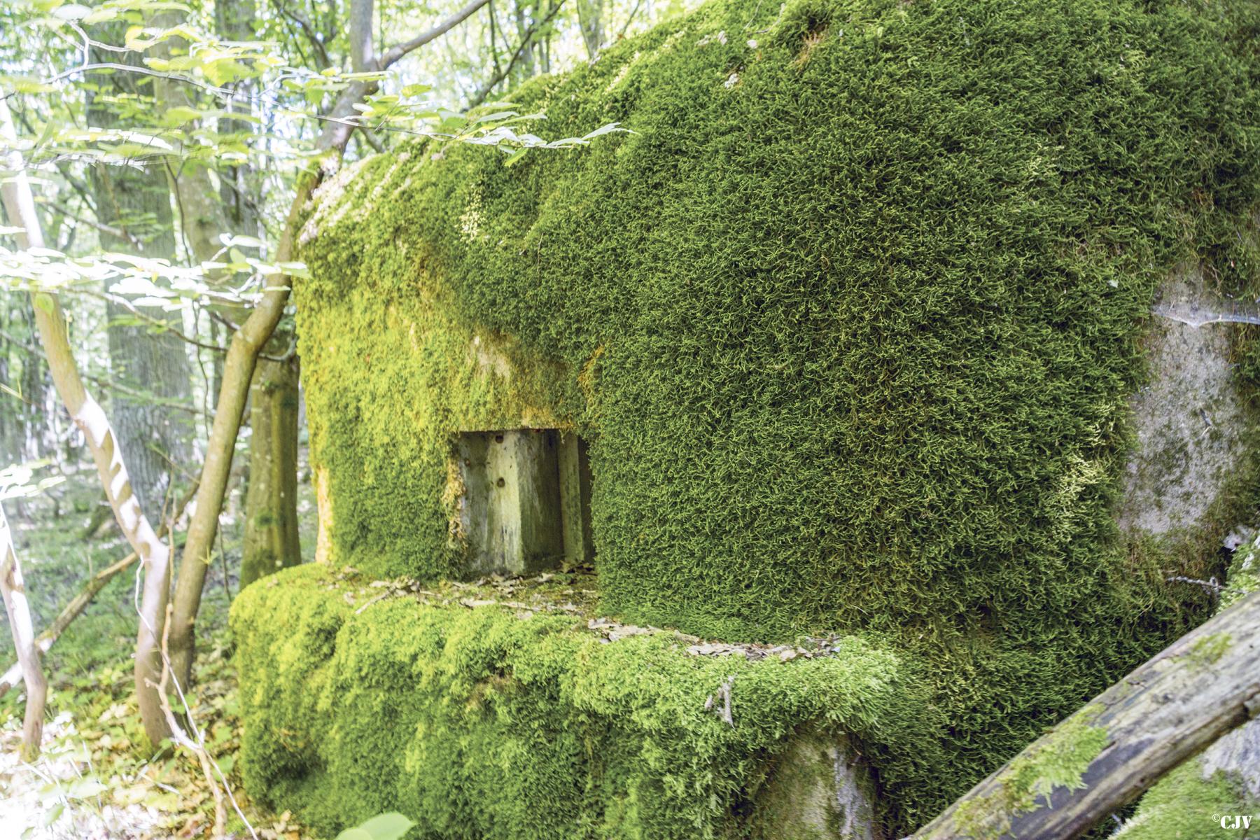 Ligne Maginot - SCHEIDWALD 2 - (Blockhaus pour arme infanterie) -          - Lia VERMEULEN