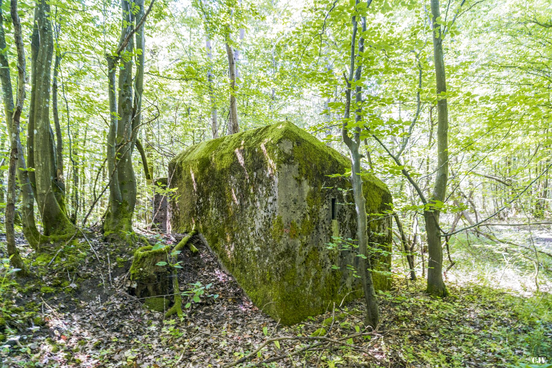 Ligne Maginot - SCHEIDWALD 2 - (Blockhaus pour arme infanterie) -           - Lia VERMEULEN