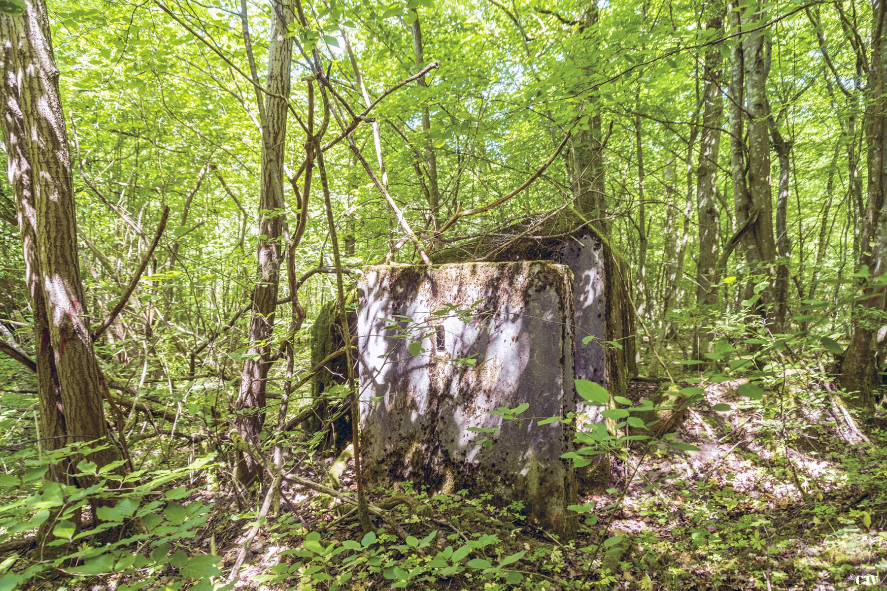 Ligne Maginot - SCHEIDWALD 2 - (Blockhaus pour arme infanterie) -            - Lia VERMEULEN