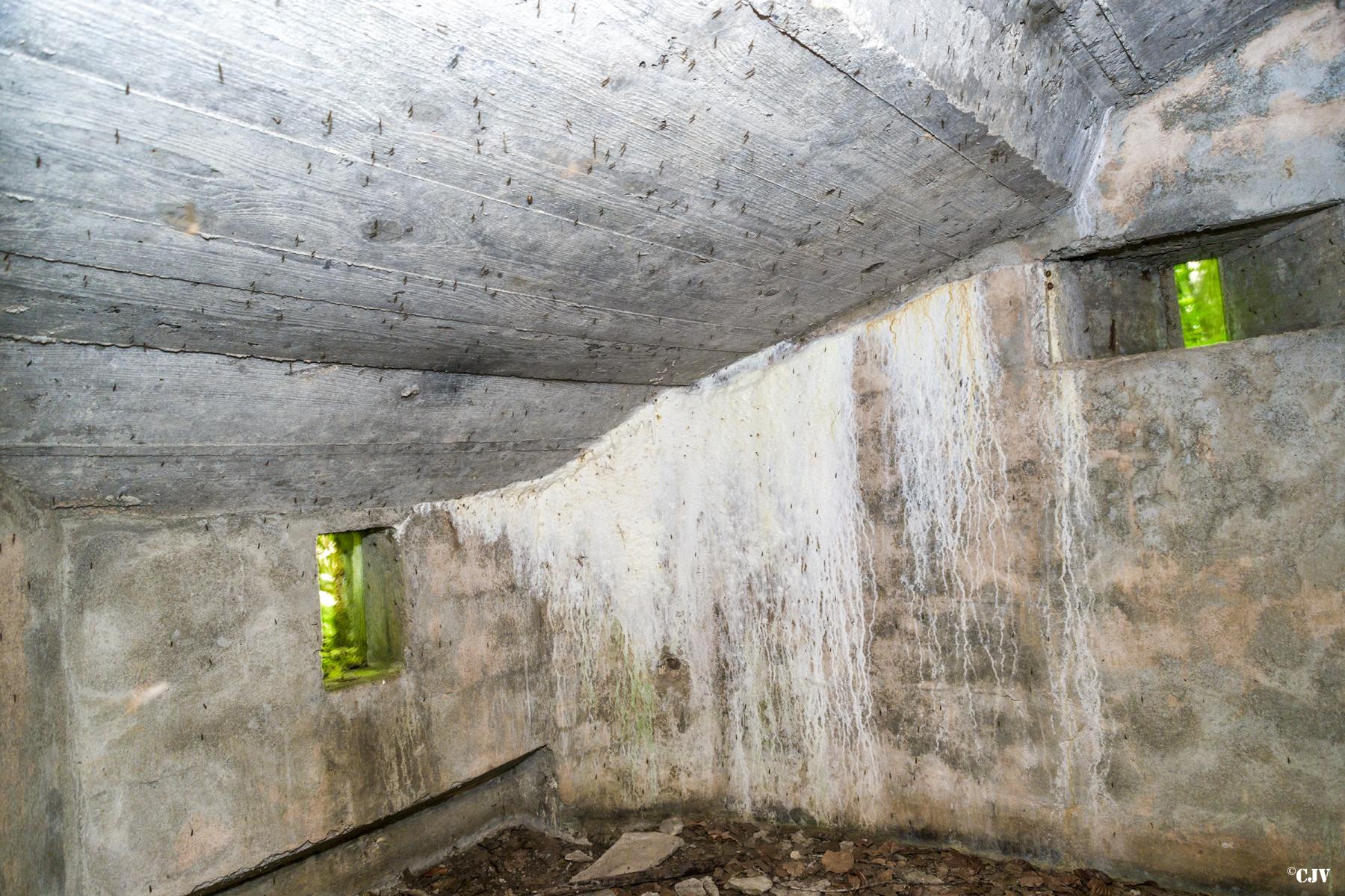Ligne Maginot - SCHEIDWALD 2 - (Blockhaus pour arme infanterie) -             - Lia VERMEULEN