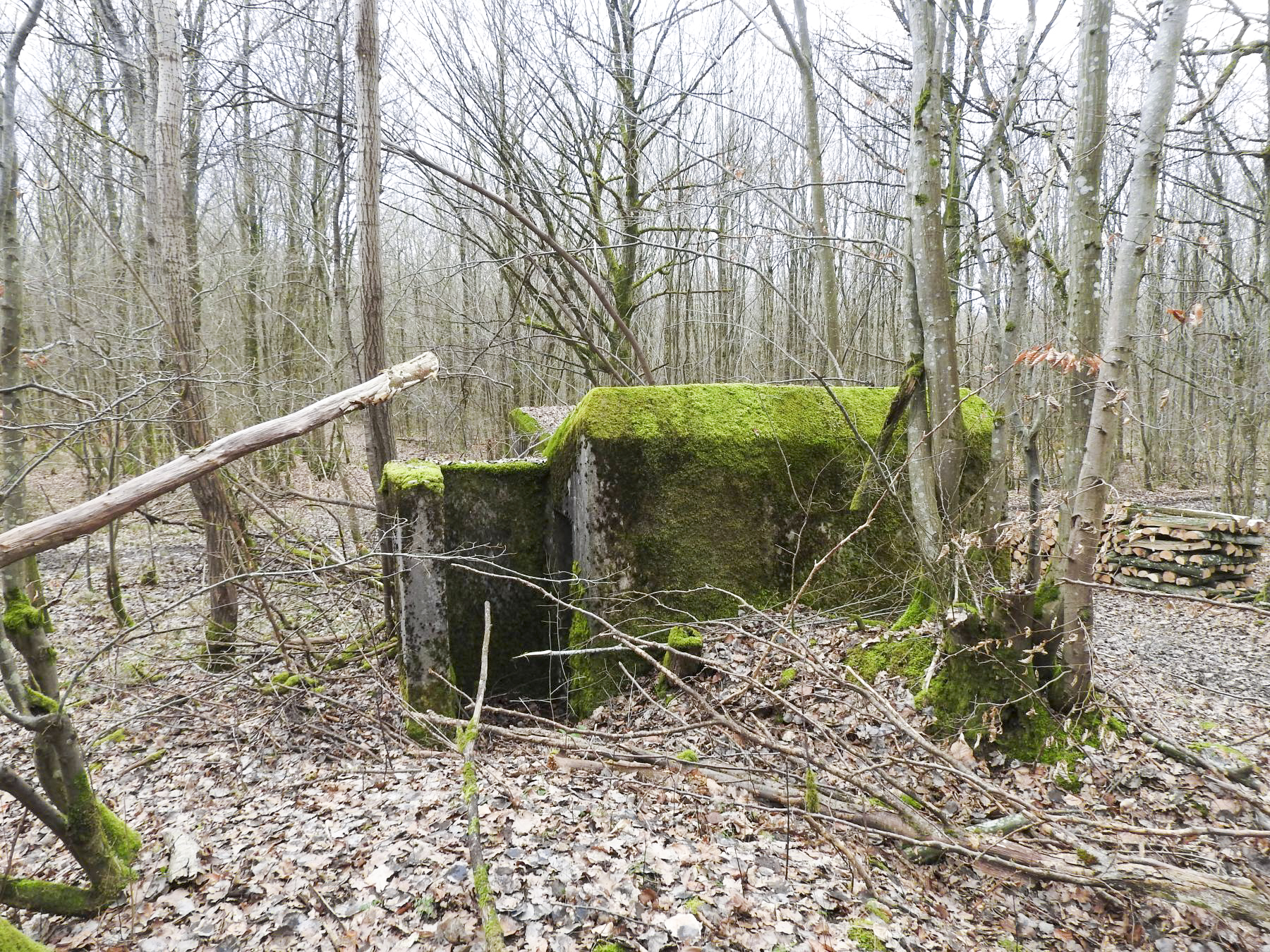 Ligne Maginot - SCHEIDWALD 2 - (Blockhaus pour arme infanterie) - La façade arrière avec l'entrée. - STENGER Mathieu