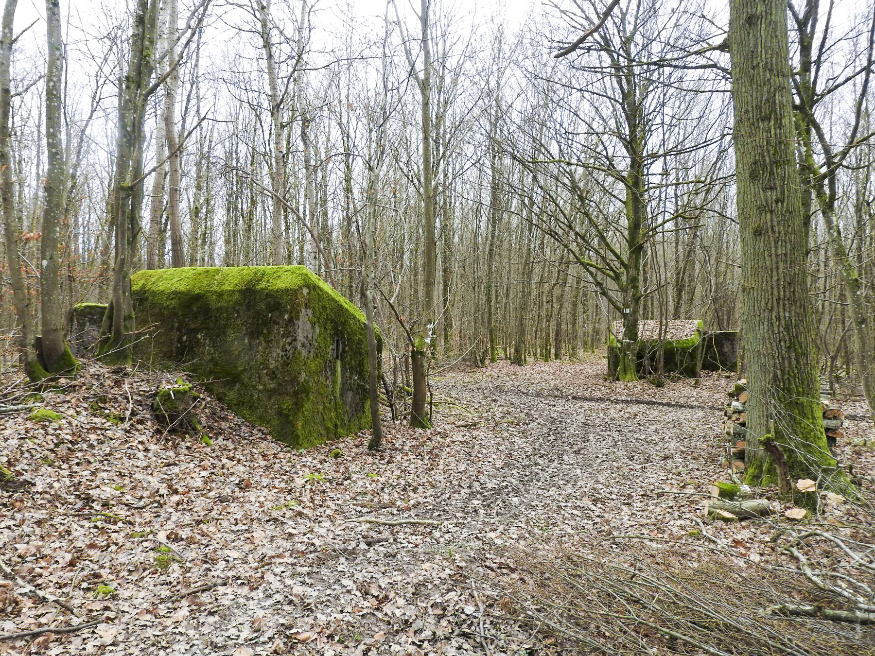 Ligne Maginot - SCHEIDWALD 2 - (Blockhaus pour arme infanterie) - Les blockhaus 2 à l'avant et 1 à l'arrière. - STENGER Mathieu