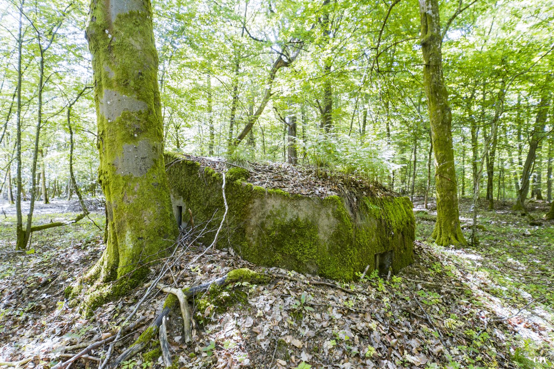 Ligne Maginot - SCHEIDWALD 3 - (Blockhaus pour arme infanterie) -                           - Lia VERMEULEN