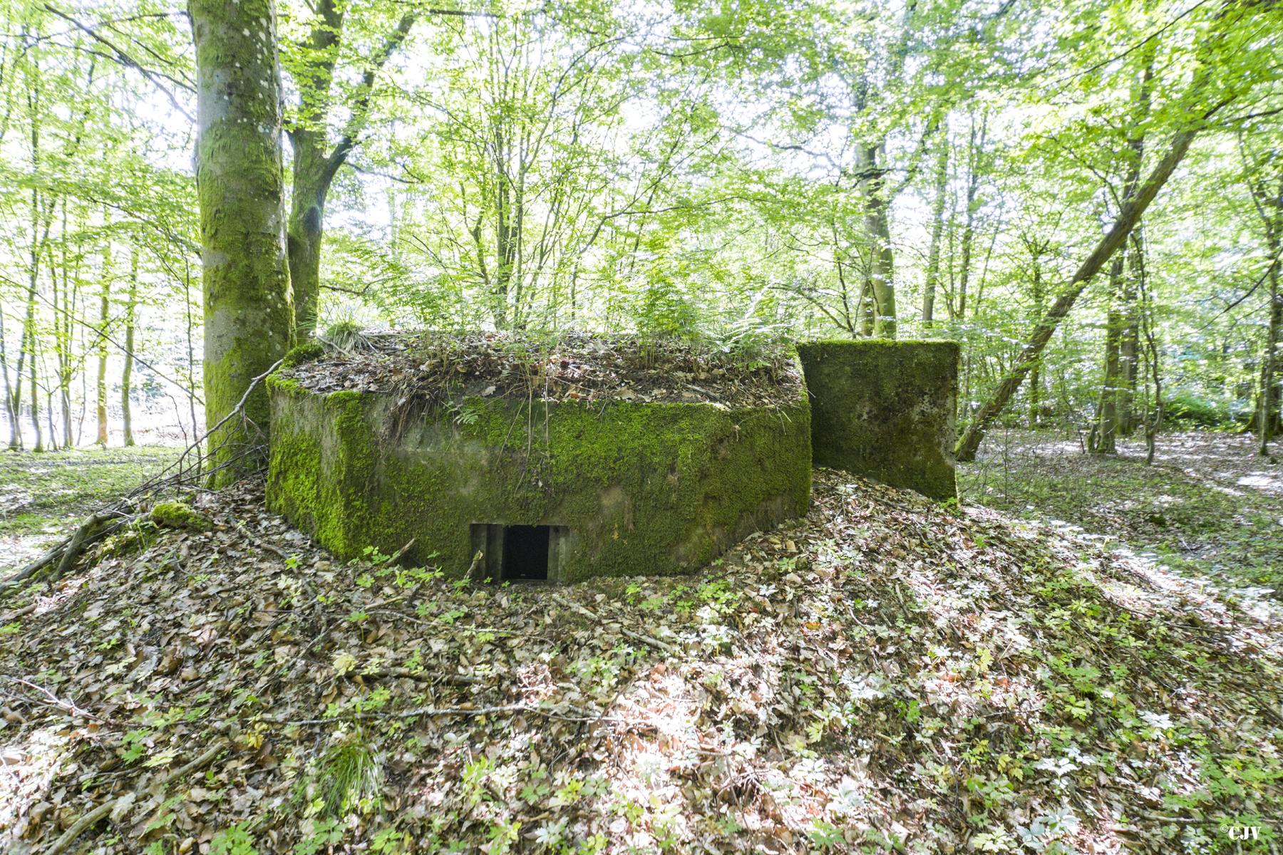 Ligne Maginot - SCHEIDWALD 3 - (Blockhaus pour arme infanterie) -                            - Lia VERMEULEN