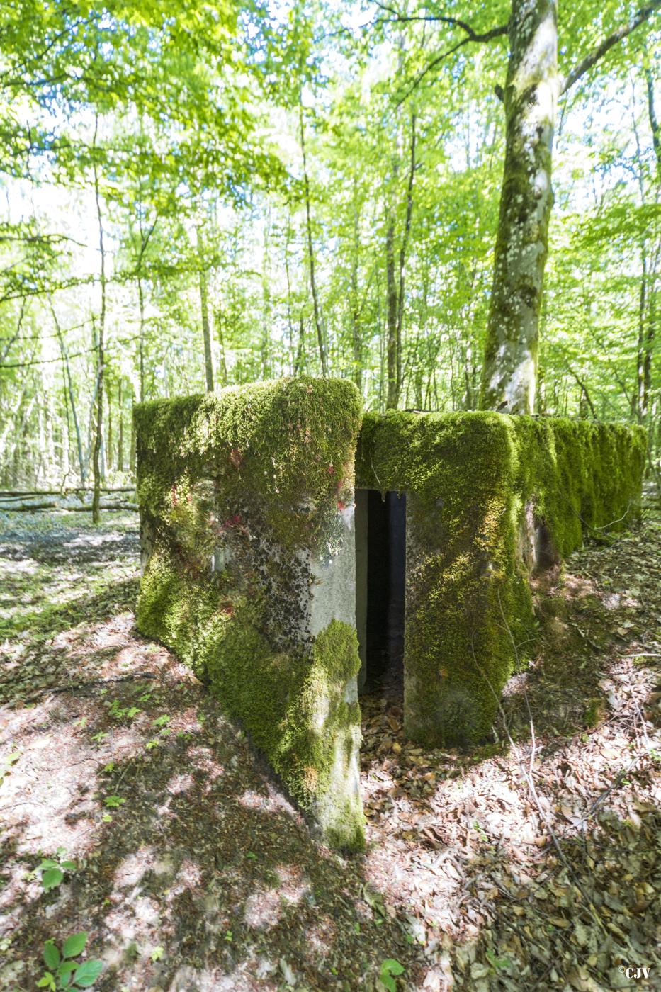 Ligne Maginot - SCHEIDWALD 3 - (Blockhaus pour arme infanterie) -                             - Lia VERMEULEN