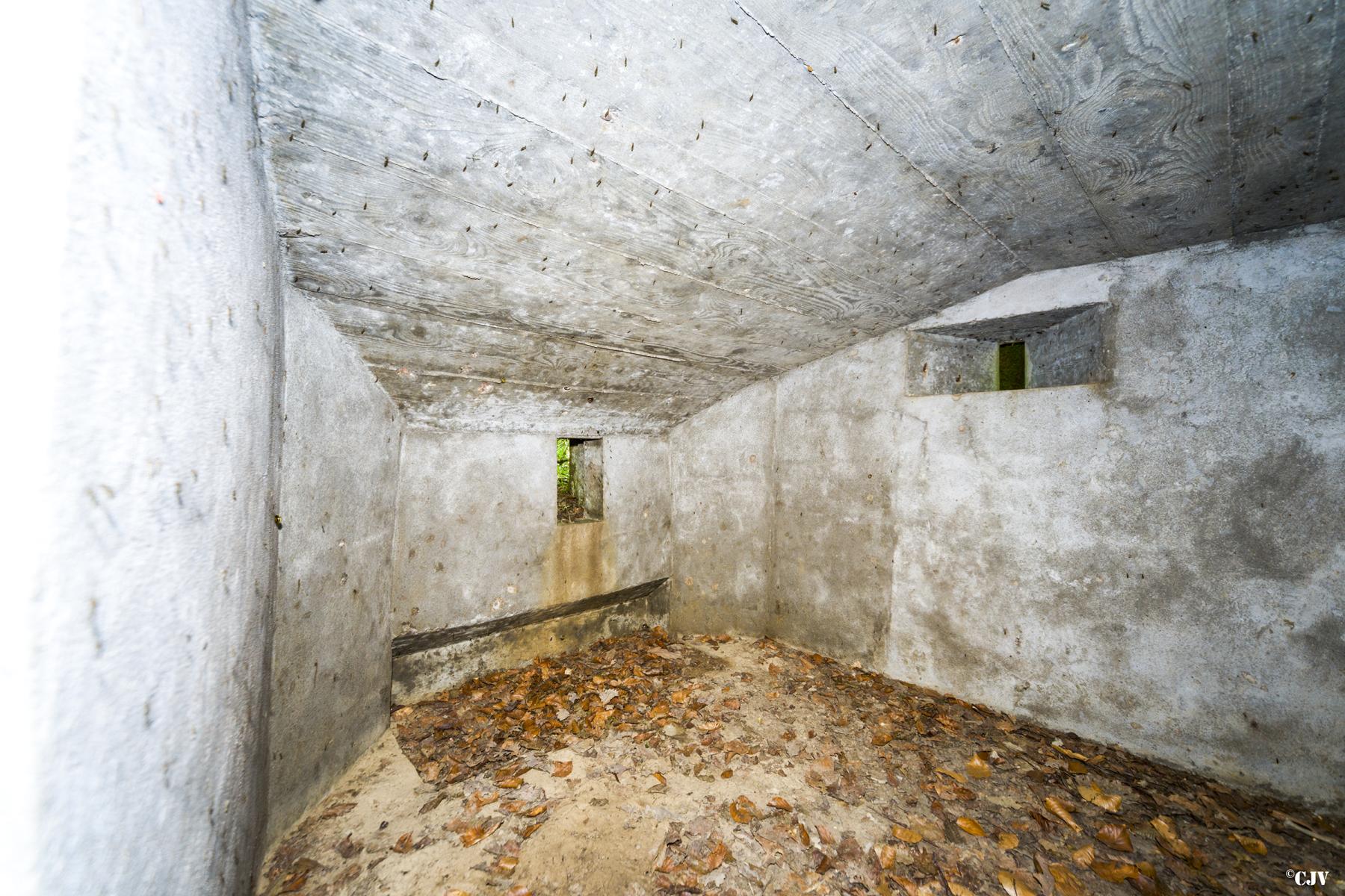 Ligne Maginot - SCHEIDWALD 3 - (Blockhaus pour arme infanterie) -                               - Lia VERMEULEN