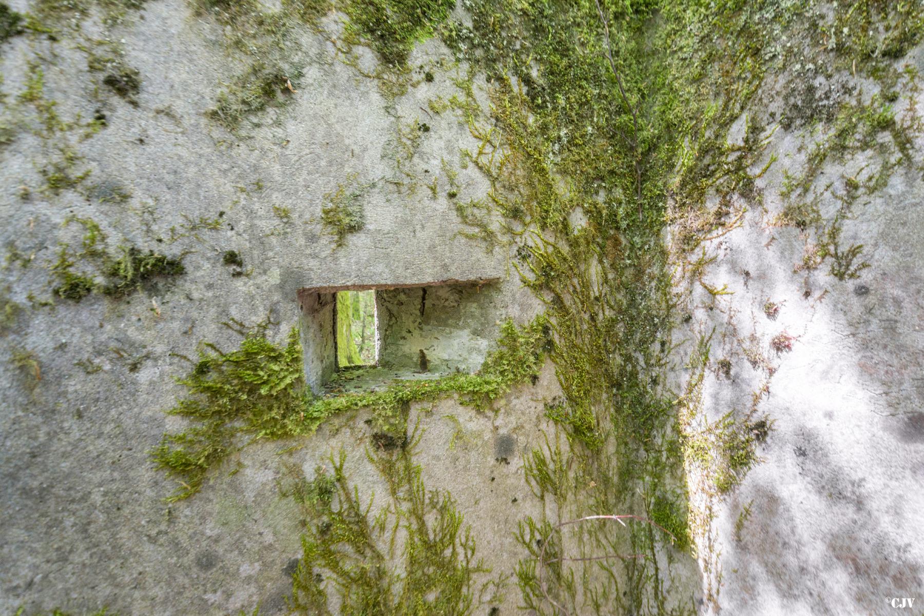 Ligne Maginot - SCHEIDWALD 3 - (Blockhaus pour arme infanterie) -                              - Lia VERMEULEN