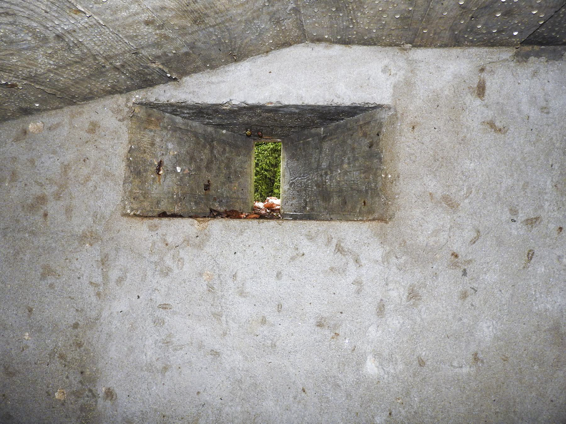 Ligne Maginot - SCHEIDWALD 3 - (Blockhaus pour arme infanterie) - Le créneau pour fusil latéral. - STENGER Mathieu