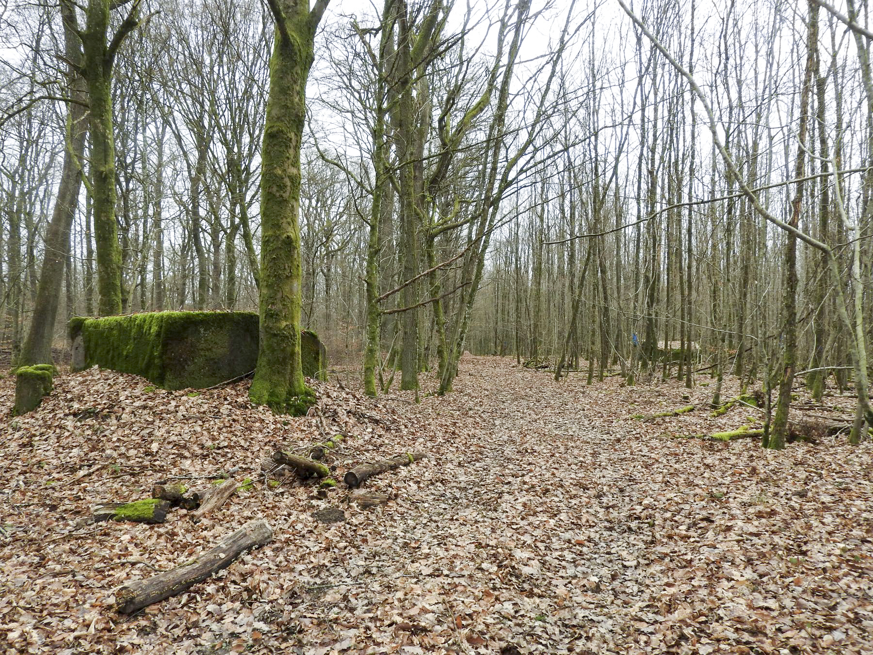 Ligne Maginot - SCHEIDWALD 3 - (Blockhaus pour arme infanterie) - Les blockhaus 3 et 4. - STENGER Mathieu