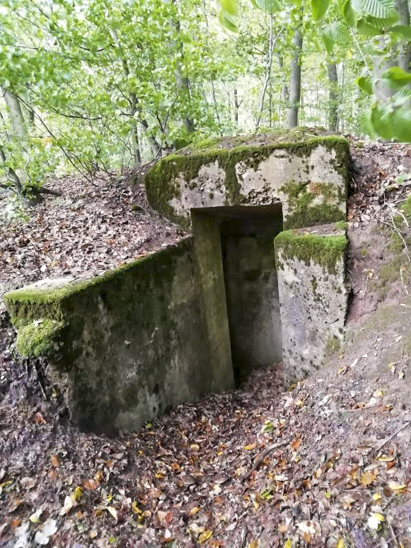 Ligne Maginot - GROSSBUCH 2 - (Abri) - Entrée Est - Jin Jac