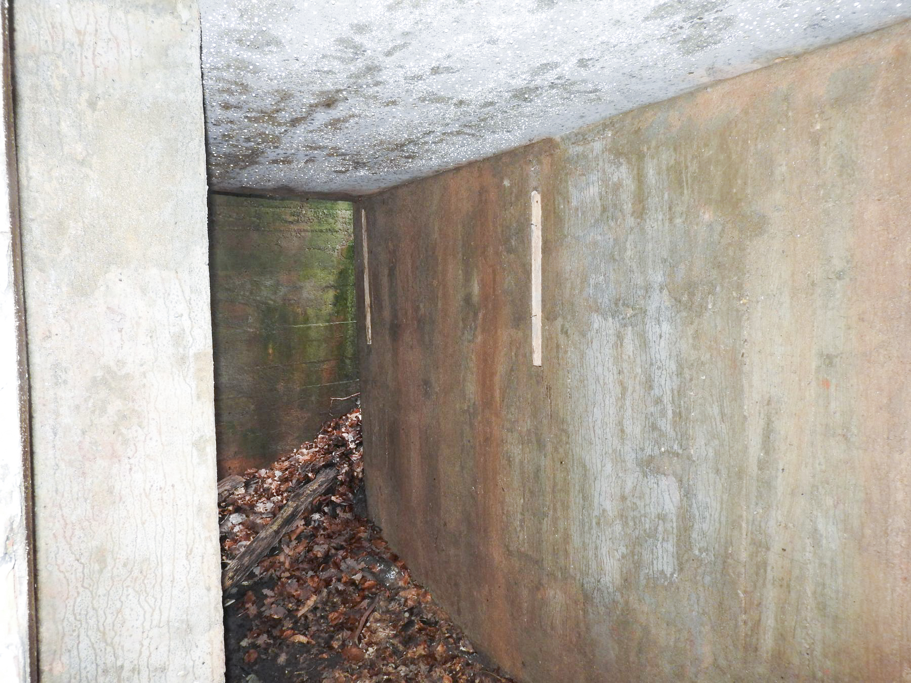 Ligne Maginot - GROSSBUCH (III/82° RMIF - QUARTIER VIEUX-BOIS) - (PC de Quartier) - L'entrée Est. - STENGER Mathieu