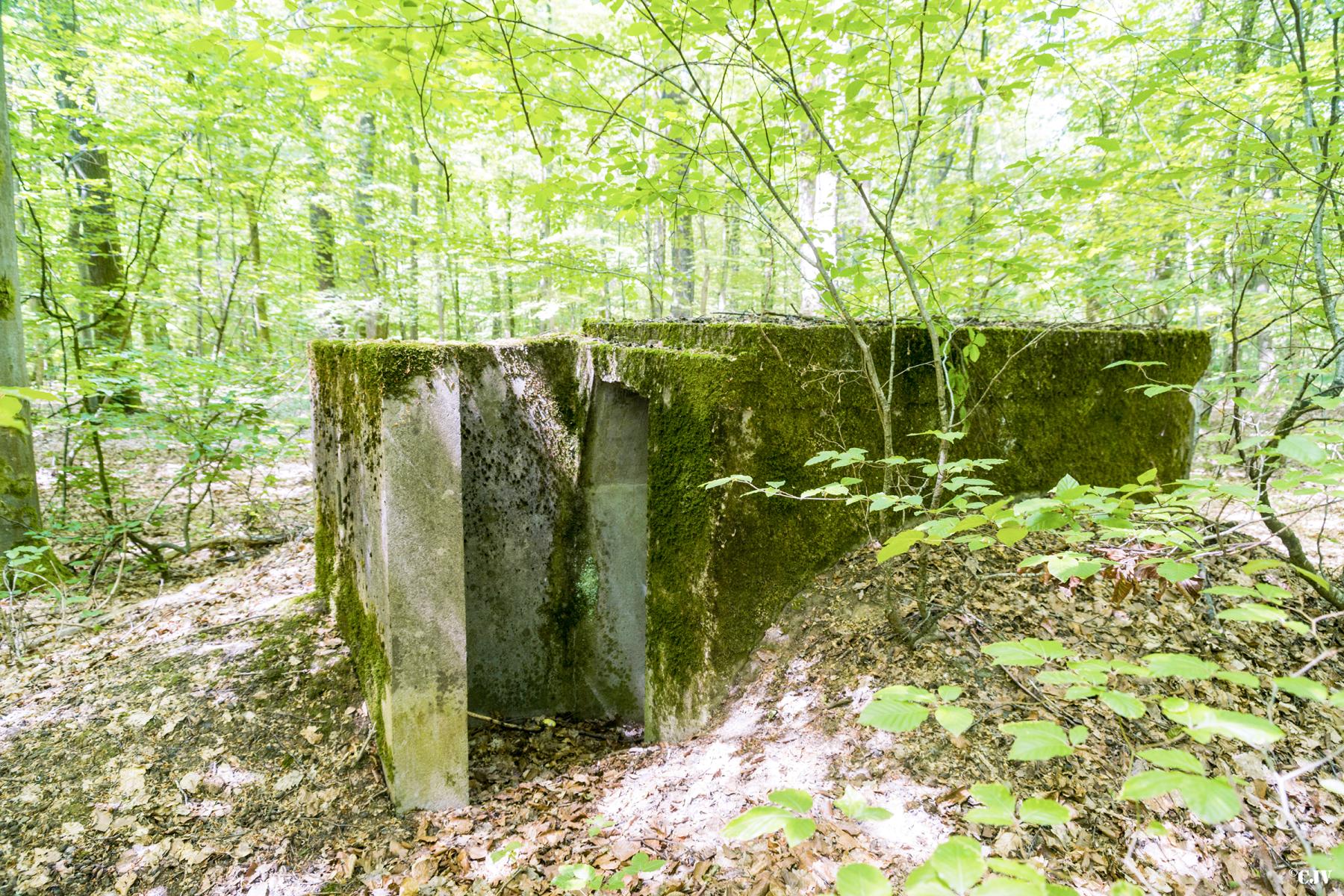 Ligne Maginot - SCHEIDWALD 7 - (Blockhaus pour arme infanterie) -                         - Lia VERMEULEN