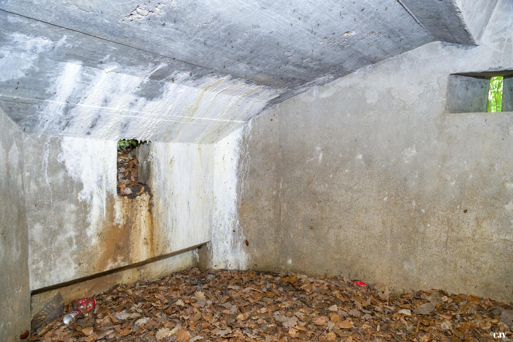 Ligne Maginot - SCHEIDWALD 7 - (Blockhaus pour arme infanterie) -                           - Lia VERMEULEN