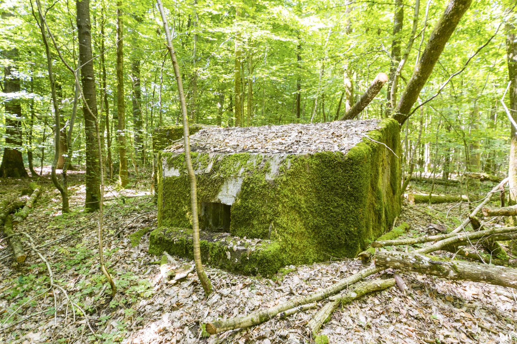 Ligne Maginot - SCHEIDWALD 4 - (Blockhaus pour arme infanterie) -  - Lia VERMEULEN