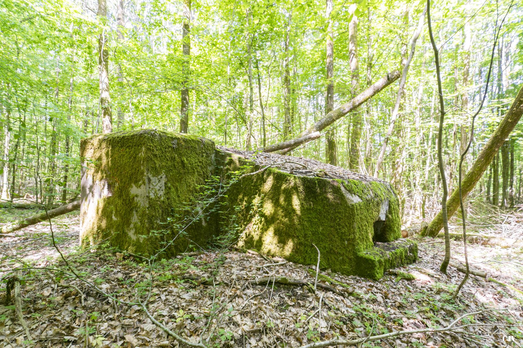 Ligne Maginot - SCHEIDWALD 4 - (Blockhaus pour arme infanterie) -  - Lia VERMEULEN