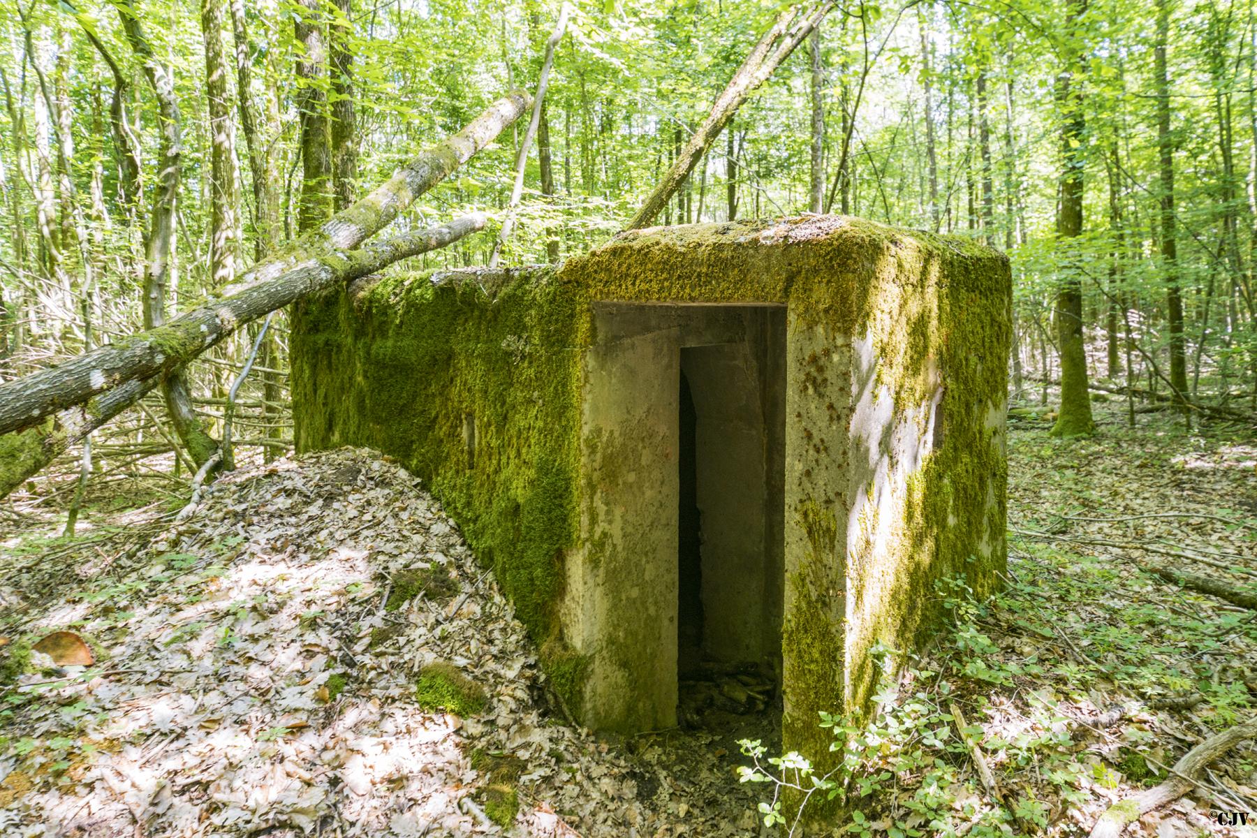 Ligne Maginot - SCHEIDWALD 4 - (Blockhaus pour arme infanterie) -  - Lia VERMEULEN
