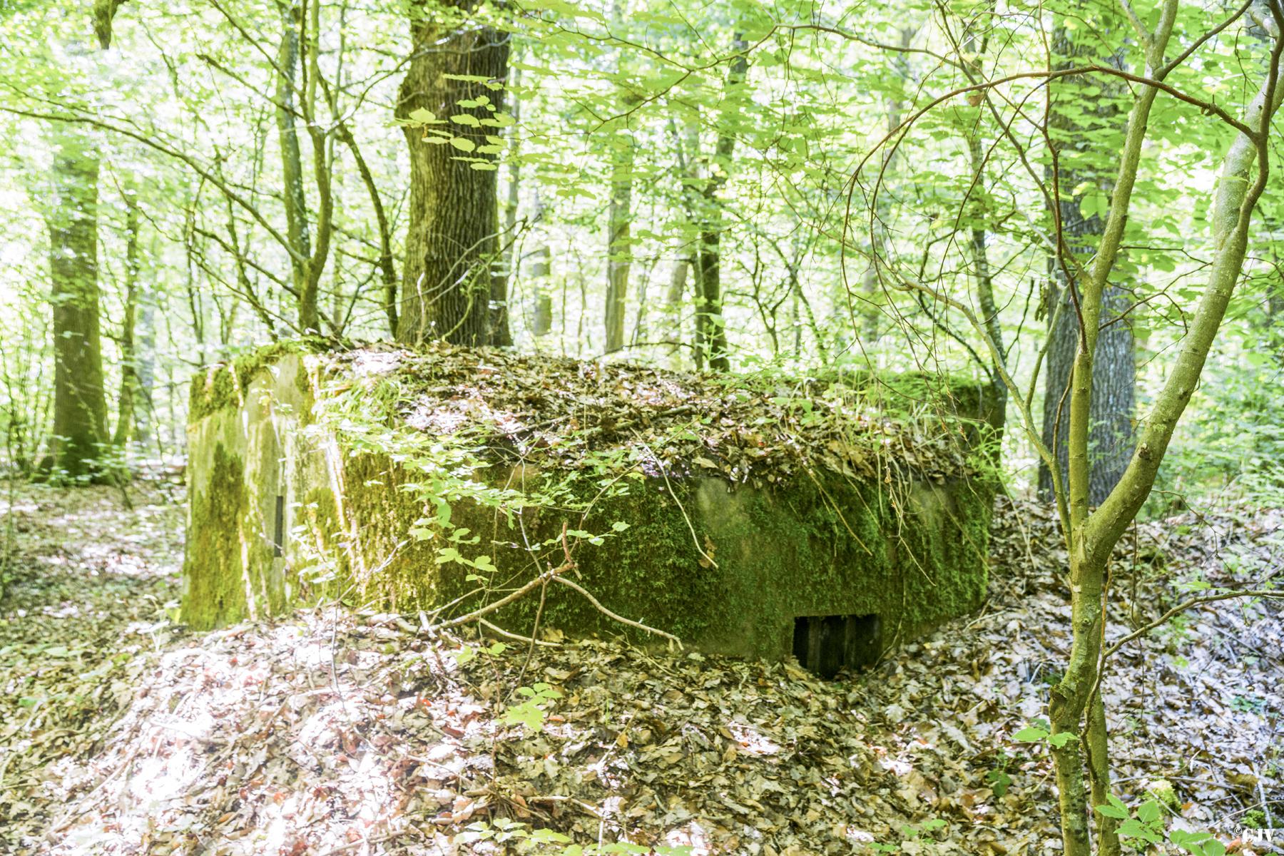 Ligne Maginot - SCHEIDWALD 5 - (Blockhaus pour arme infanterie) -              - Lia VERMEULEN