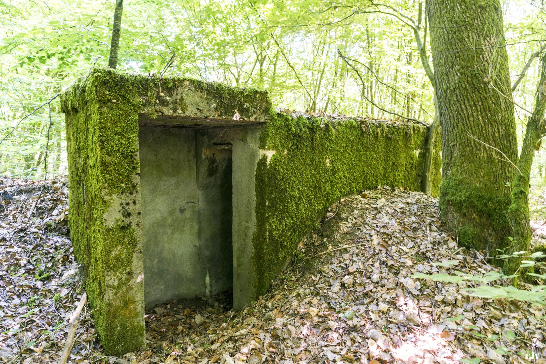 Ligne Maginot - SCHEIDWALD 5 - (Blockhaus pour arme infanterie) -                - Lia VERMEULEN