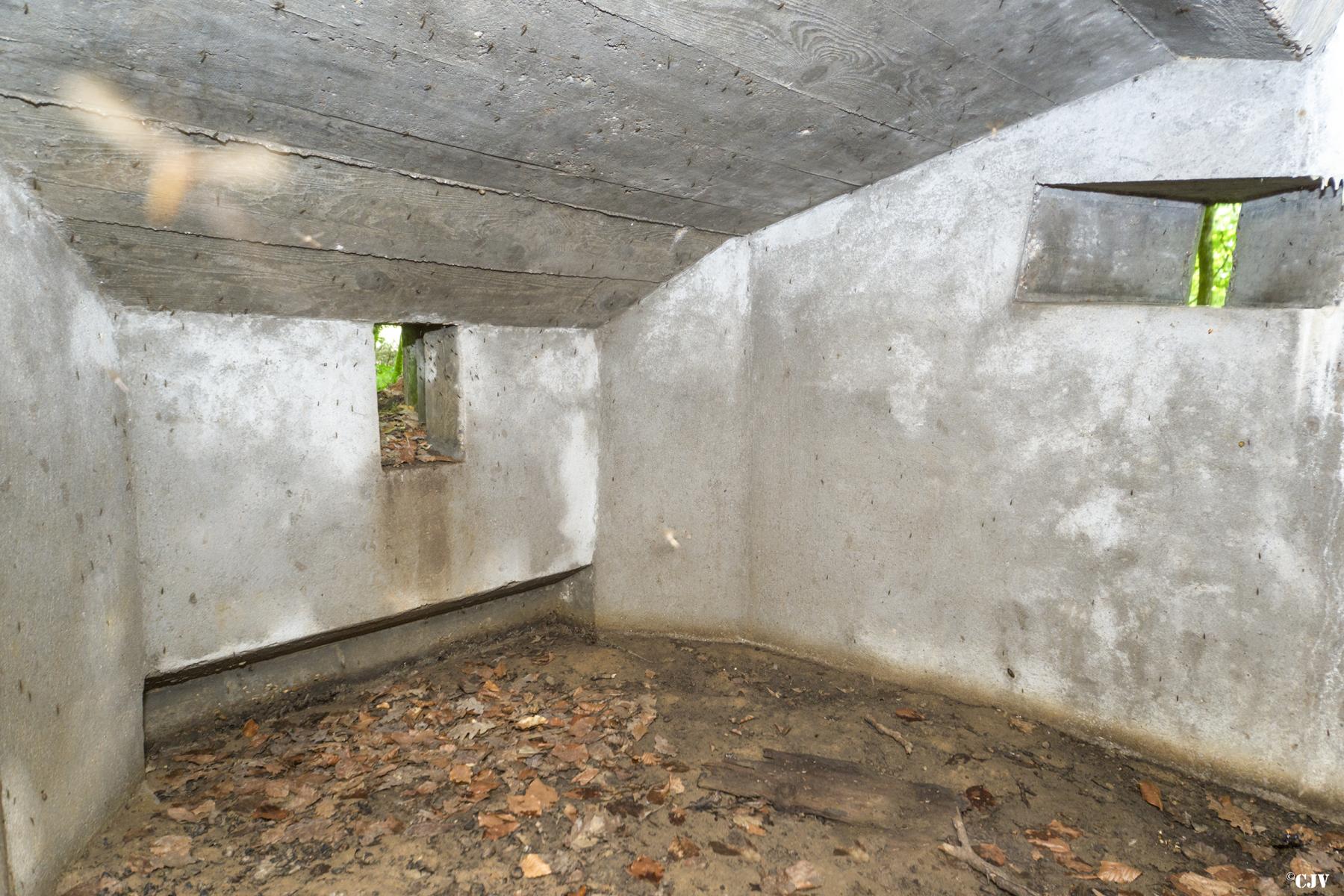 Ligne Maginot - SCHEIDWALD 5 - (Blockhaus pour arme infanterie) -                 - Lia VERMEULEN