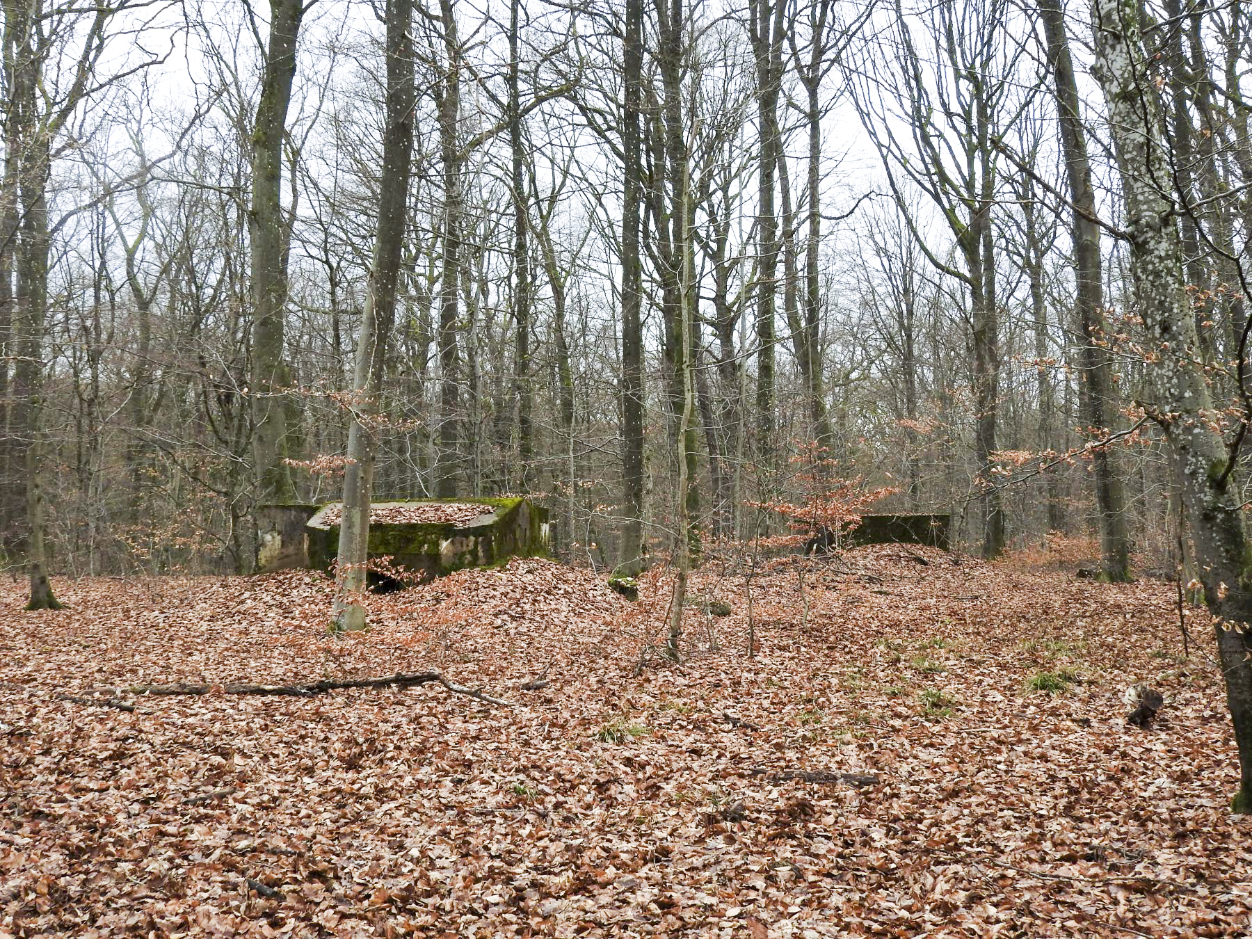 Ligne Maginot - SCHEIDWALD 6 - (Blockhaus pour arme infanterie) - Les blockhaus 6 et 7. - STENGER Mathieu