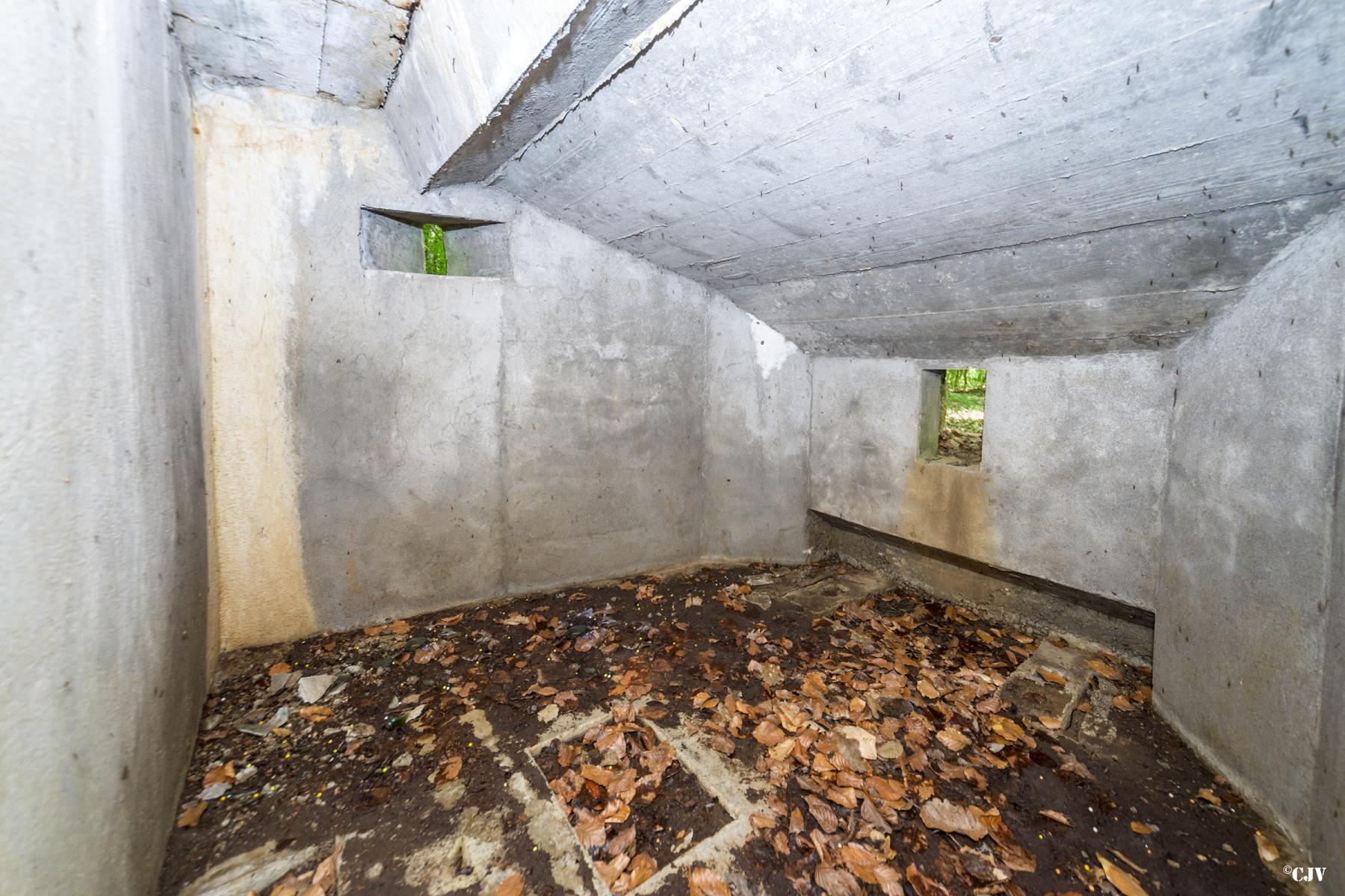 Ligne Maginot - SCHEIDWALD 6 - (Blockhaus pour arme infanterie) -                     - Lia VERMEULEN