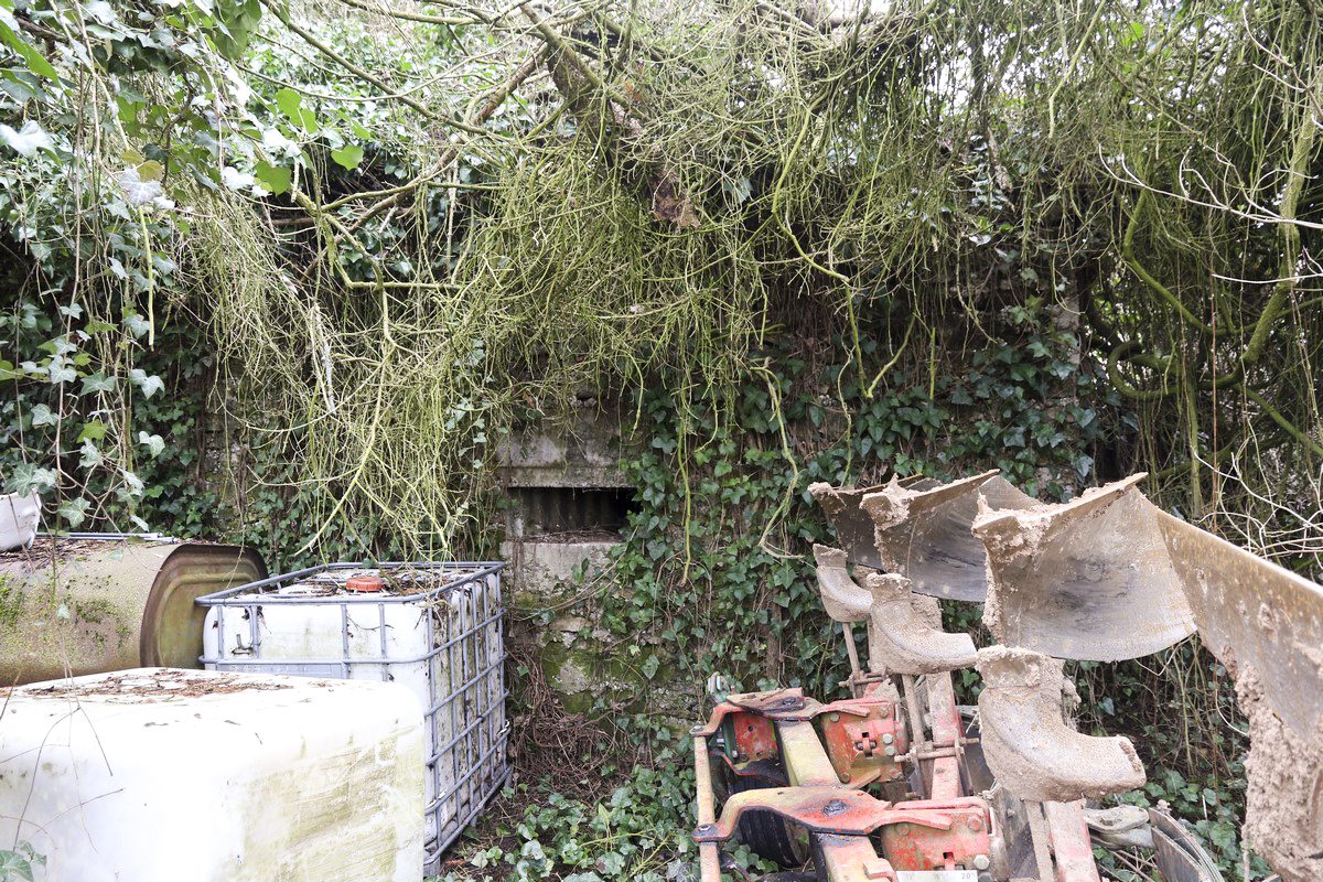 Ligne Maginot - WEIDESHEIM 4 - (Blockhaus pour arme infanterie) -  - Alain Perouffe