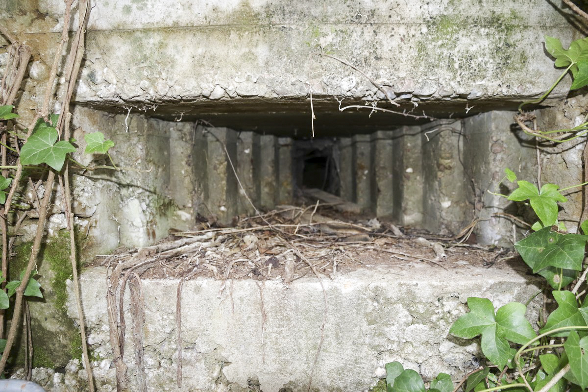 Ligne Maginot - WEIDESHEIM 4 - (Blockhaus pour arme infanterie) - Le créneau - Alain Perouffe