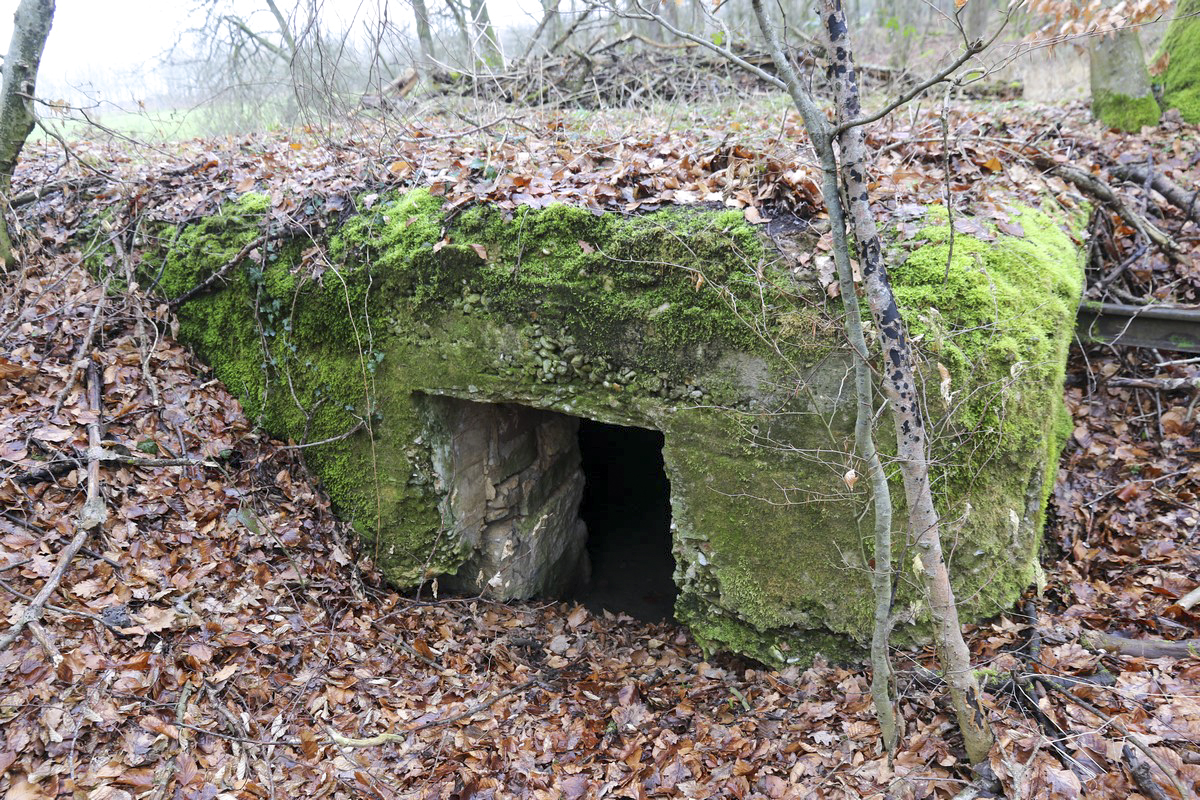 Ligne Maginot - STEINBRUEHL - (Blockhaus pour arme infanterie) - Entrée
 - Alain Perouffe