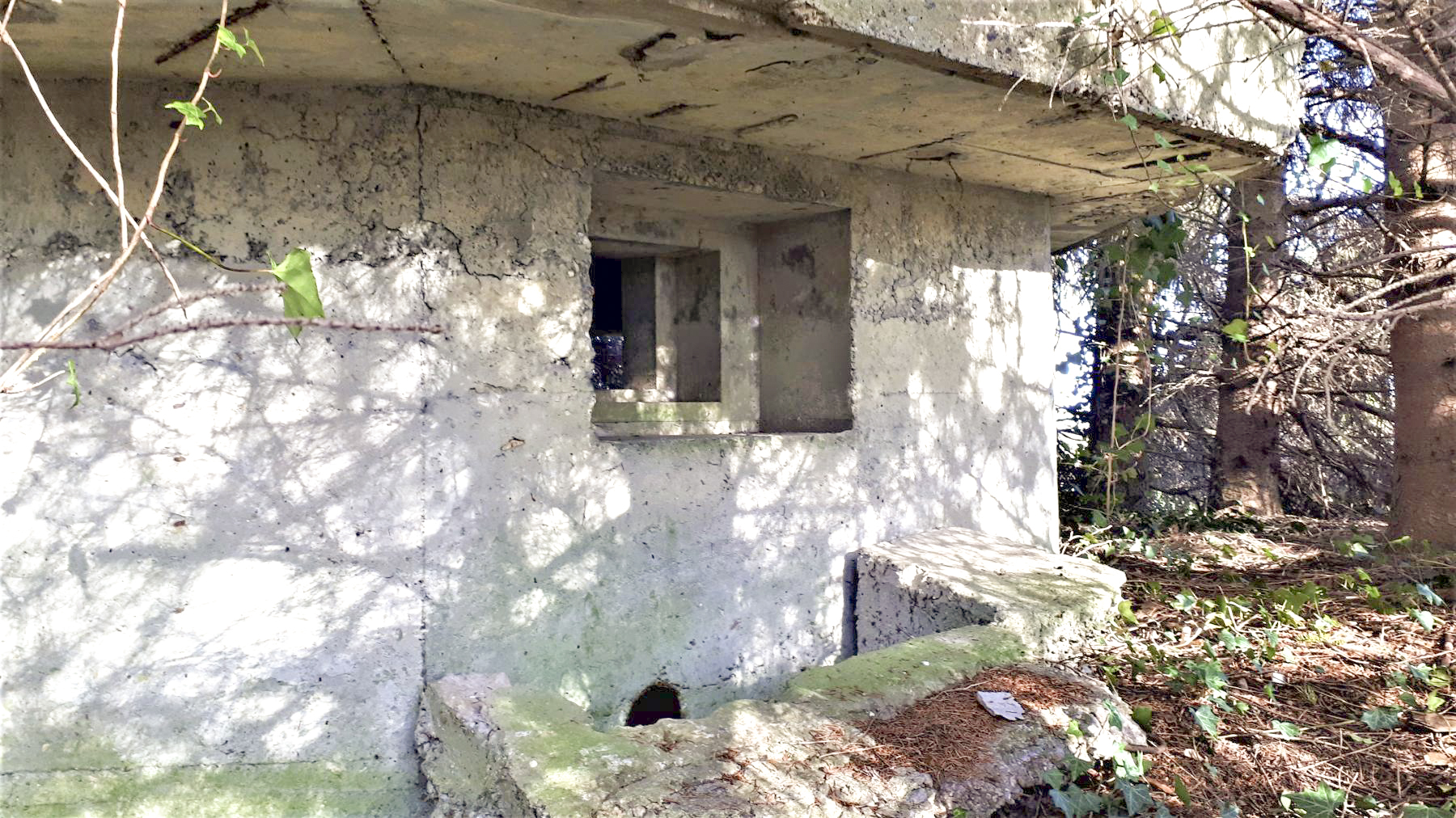 Ligne Maginot - 18 - MOULIN DE LA WANTZENAU - (Blockhaus pour arme infanterie) - Créneau Sud-Ouest du blockhaus - G. Fuchs