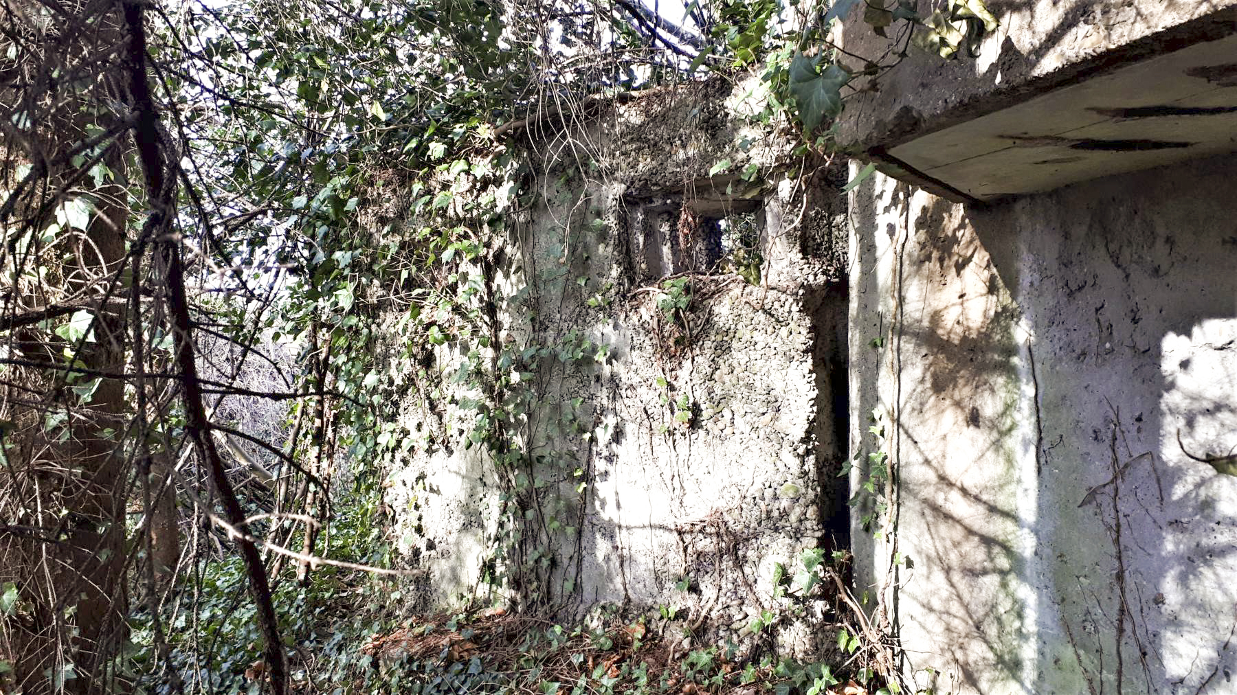 Ligne Maginot - 18 - MOULIN DE LA WANTZENAU - (Blockhaus pour arme infanterie) - Créneaux de l'extension à ciel ouvert - G. Fuchs