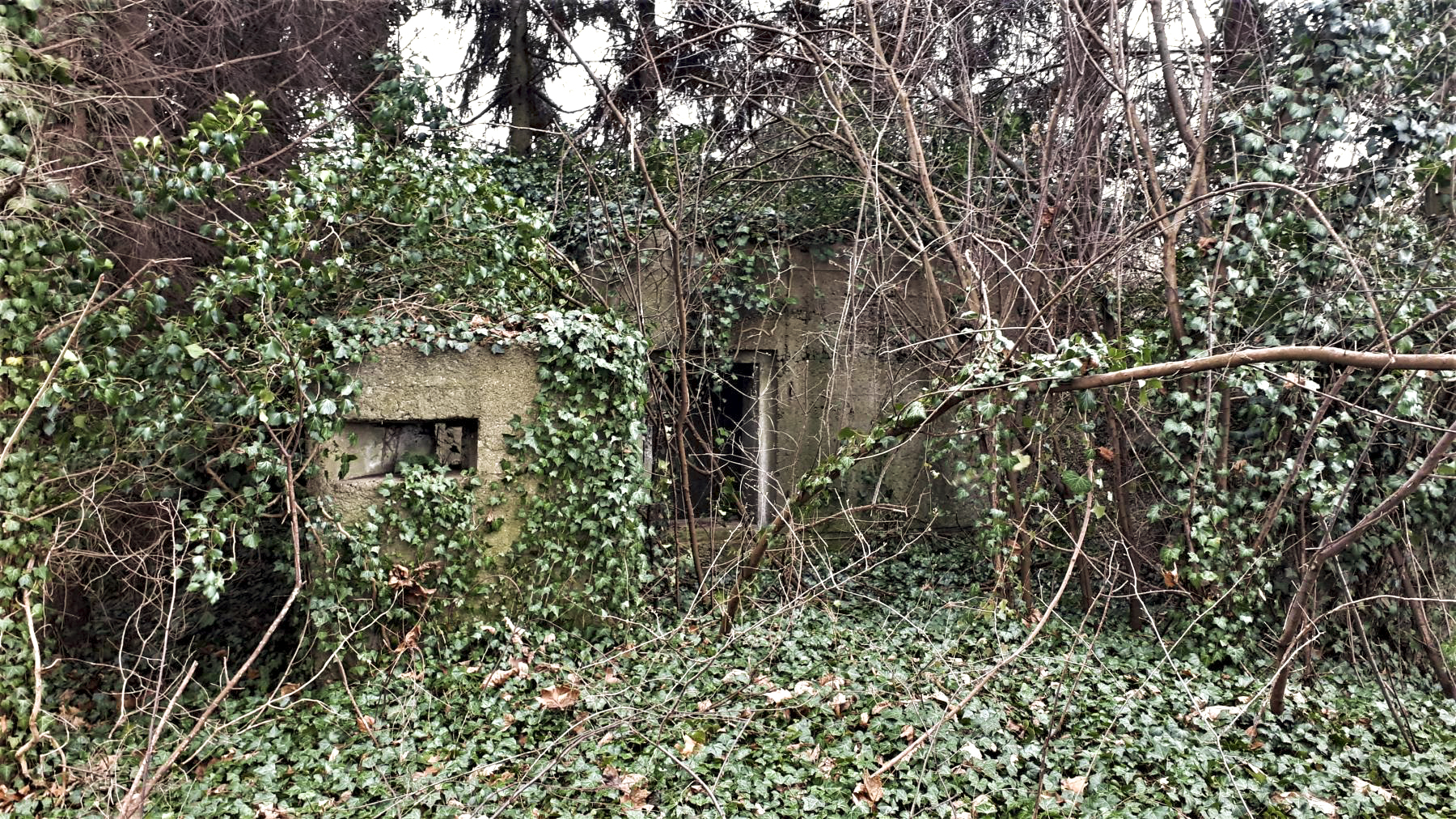 Ligne Maginot - 18 - MOULIN DE LA WANTZENAU - (Blockhaus pour arme infanterie) - L'extension à ciel ouvert protégeant l'entrée du blockhaus - G. Fuchs