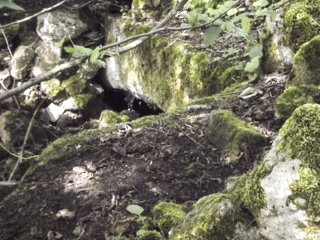 Ligne Maginot - CIMETIERE DE VILLY - (Abri) - Soupirail de l'ancienne cave - David HARMAND