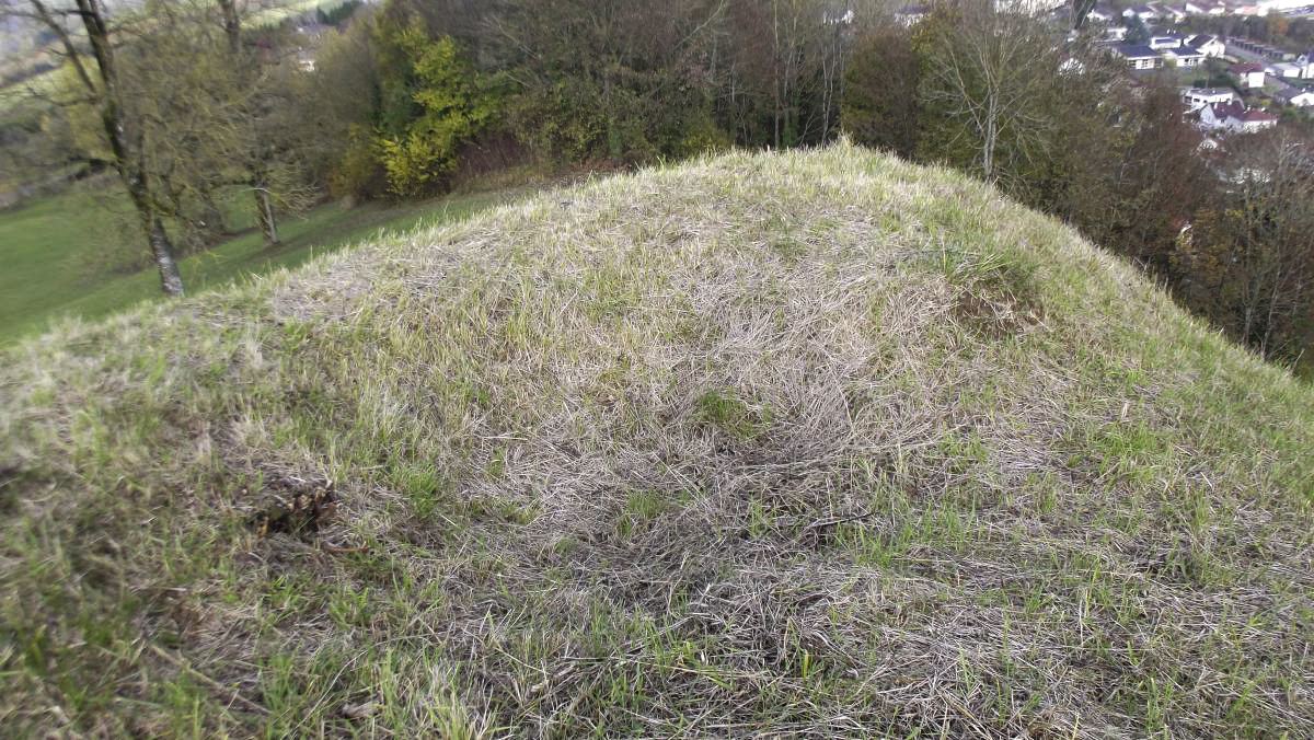 Ligne Maginot - CITADELLE DE MONTMEDY NORD - (Observatoire d'artillerie) - Trace de tranchée d'accès à un trou, emplacement d'une guérite ? - David HARMAND