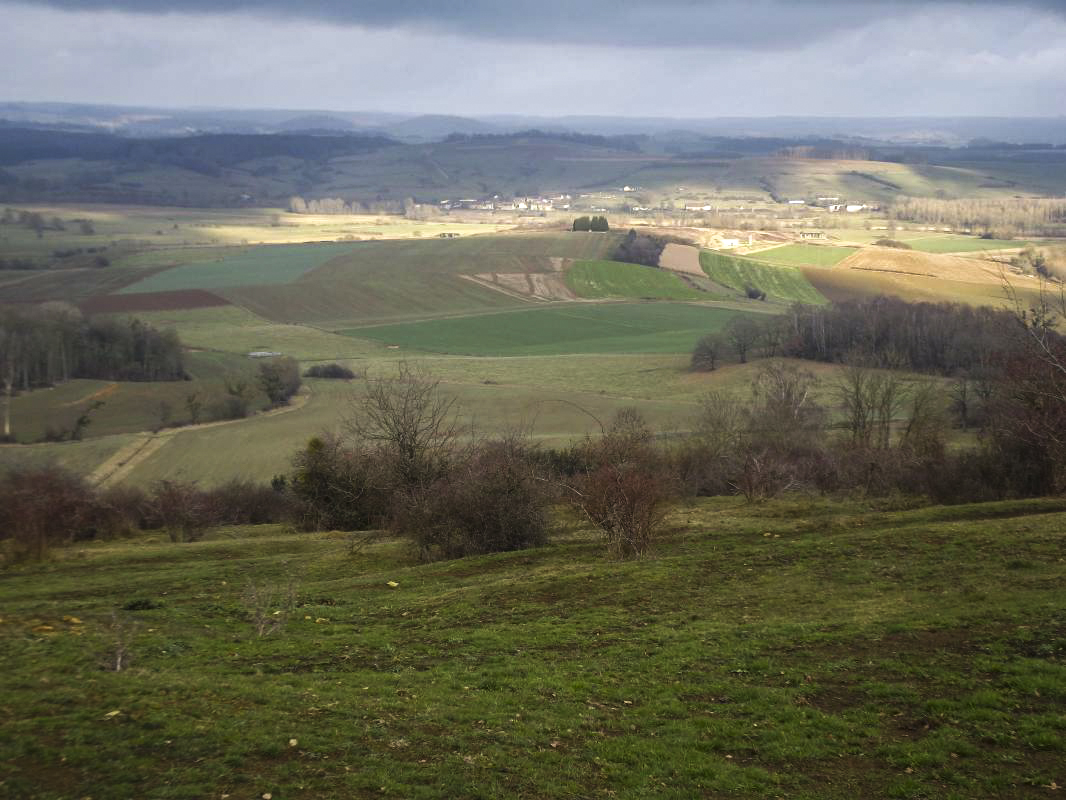 Ligne Maginot - CÔTE 311 - (Observatoire d'infanterie) - Vue vers l'ouvrage de La Ferté ; 
on comprend l'intérêt des allemands pour la colline - David HARMAND