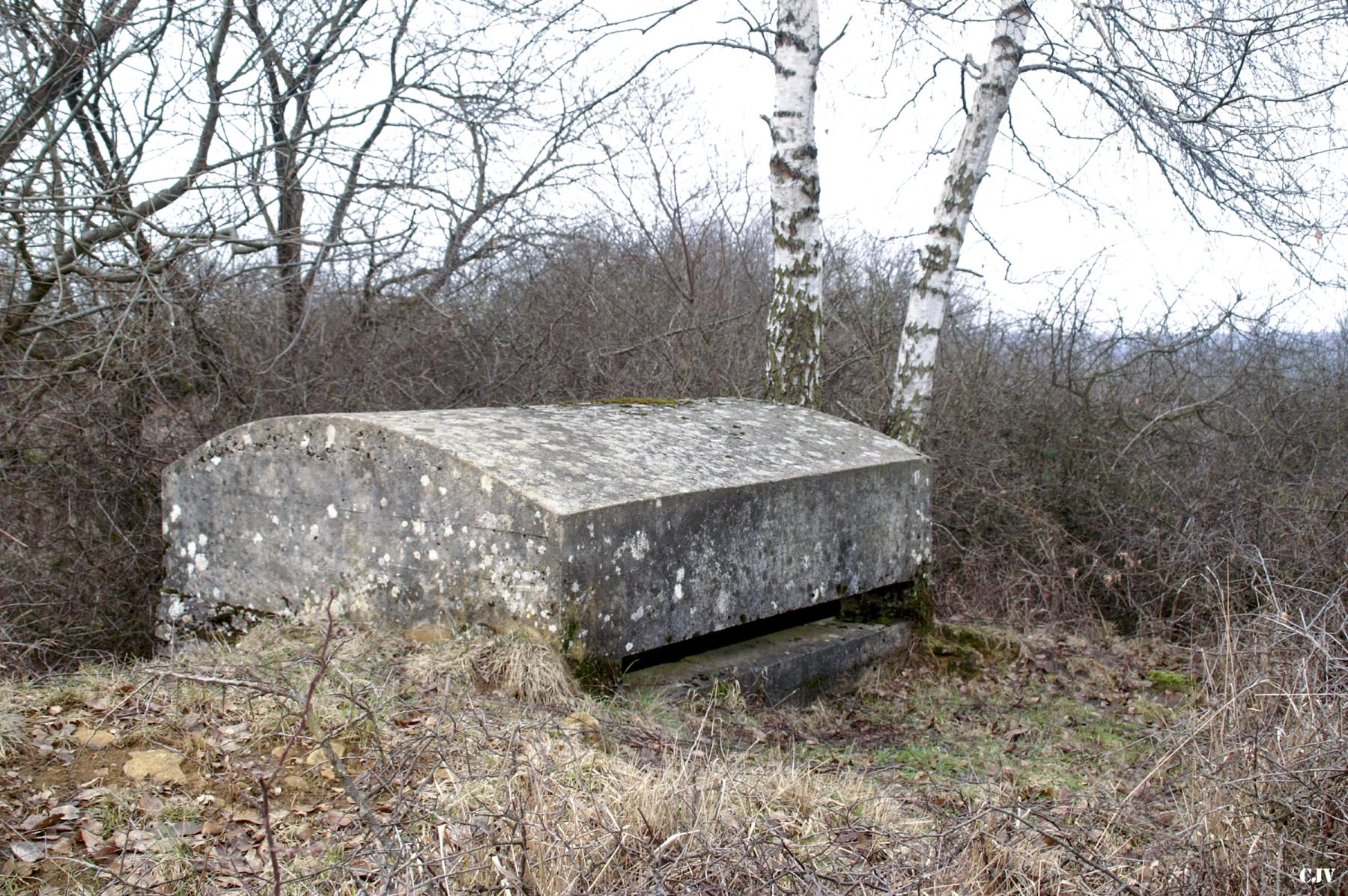 Ligne Maginot - CÔTE 311 - (Observatoire d'infanterie) -  - Lia VERMEULEN