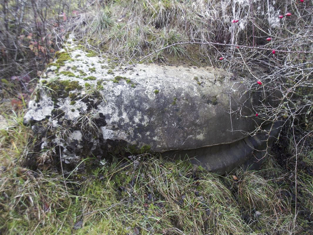Ligne Maginot - CÔTE 311 TER - (Abri) - L'abri est coupé en deux (bombardement du 17 mai 1940), il est relié à un trou de combat (poste de tir) situé au dessus. - David HARMAND