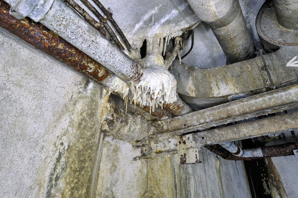 Ligne Maginot - BOIS DE KLANG - X24 (QUARTIER KLANG - III/164° RIF) - (Abri) -  - GOERGEN Claude