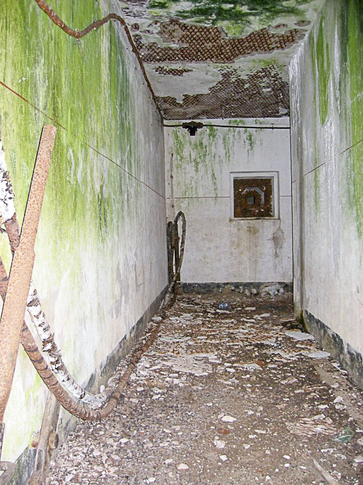 Ligne Maginot - MOLVANGE - A9 - (Ouvrage d'artillerie) - Entrée des hommes
Couloir d'accès, après la grille de défense extérieure. Noter le créneau FM dans l'axe du couloir. - Michel Teiten