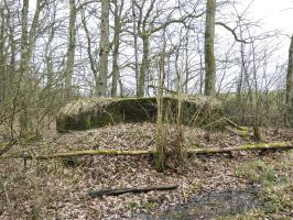 Ligne Maginot - SCHIRMENSTUDEN 10 - (Blockhaus pour arme infanterie) - Une vue d'ensemble du blockhaus.
