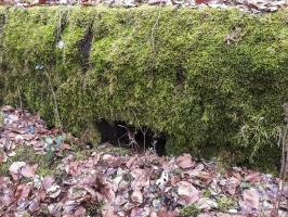 Ligne Maginot - SCHIRMENSTUDEN 11 - (Blockhaus pour arme infanterie) - Le créneau principal pour arme d'infanterie.
