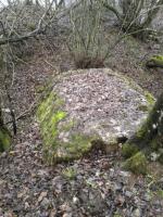 Ligne Maginot - LES OEUILLONS - (Abri) - Vue de la toiture de l'abri.