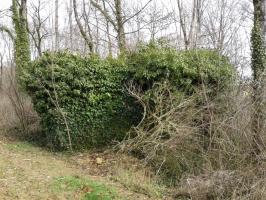 Ligne Maginot - MONTZECHANNE - (Blockhaus pour canon) - Vue extérieure du blockhaus, pris sous la végétation. Un camouflage naturel très efficace.